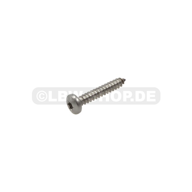 Tapping Screw M5,5x38mm V2A 